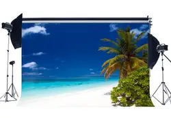 Приморский песок пляж фон кокосовой пальмы голубое небо белое облако природа Романтический Лето Праздничная Декорация