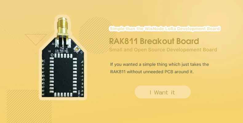 RAK811
