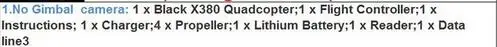 Профессиональный радиоуправляемый Дрон X380 дальний fpv Дрон GPS 2,4G rc Квадрокоптер RTF Безголовый режим бесщеточный двигатель дистанционное управление Радиоуправляемый Дрон - Цвет: No Gimbal camera