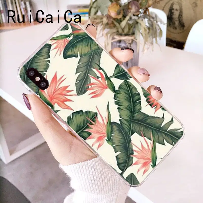 Palm tree Leaves Plant Flower