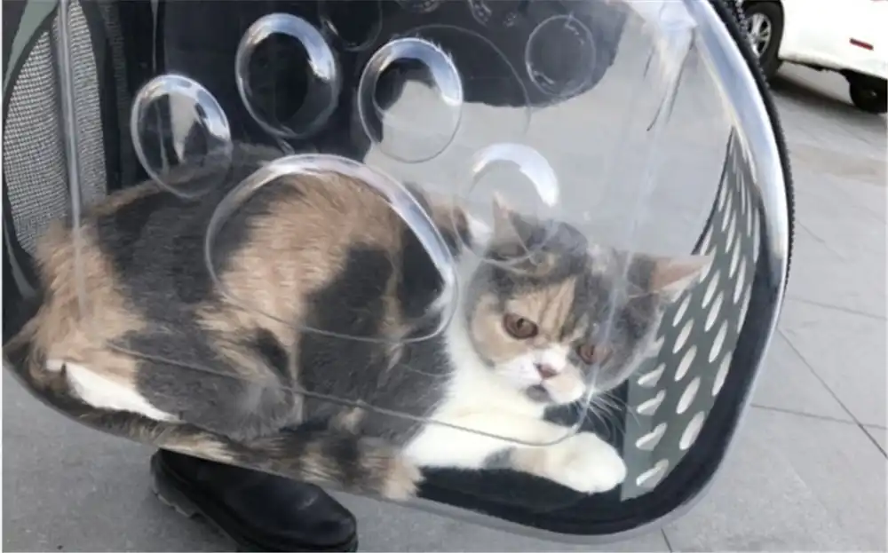alternative cat carriers