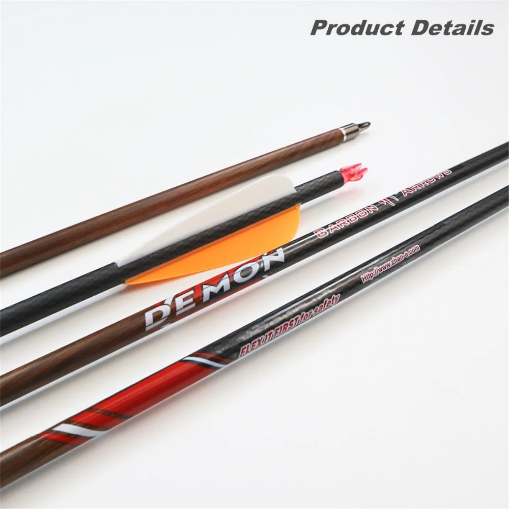 zhan yi carbon arrows (3)