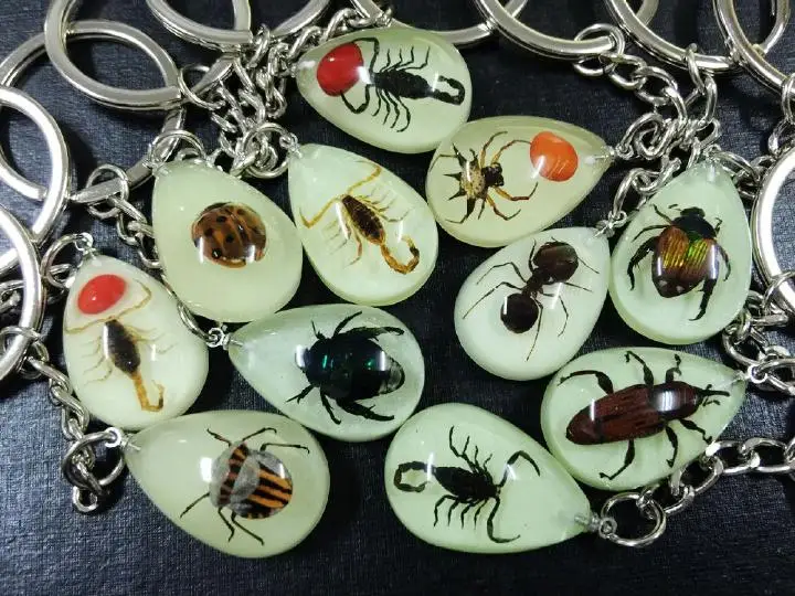 

free shipping 30 PCS Luminous Mini Style Cool Real Mixed Fashion Insect Keychain