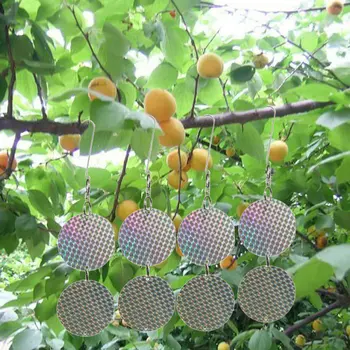 

Bird Repellent Deterrent Discs Woodpecker Crow Hawk Goose Seagull 24 Reflective Discs Deterrent Repellent Disks Keep Birds 8 Pcs