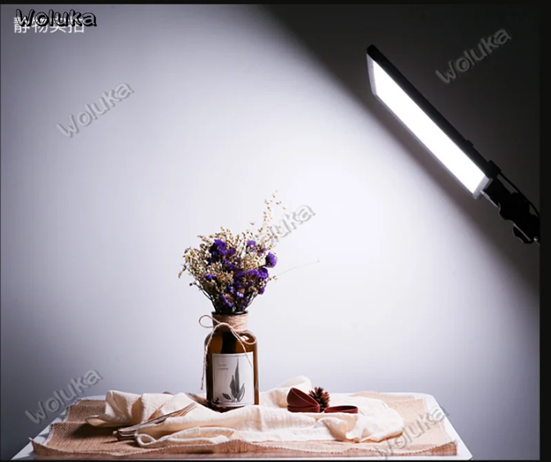 36020190226104657906
