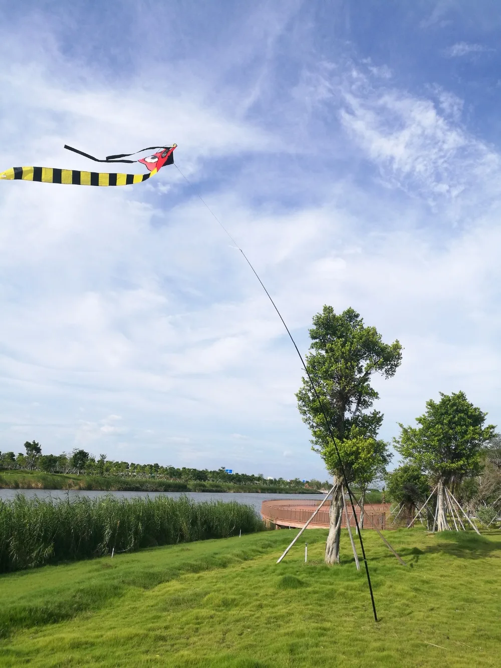 Terror Hawk Kite,Crop bird Scaring Hawk Kite for bird repellent from crops  and off building With 7 Meters Telescopic pole