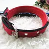 Pet Products