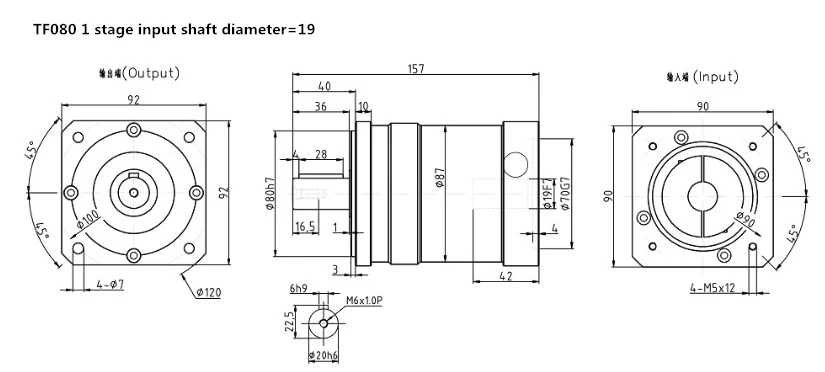 TF080-L1-19