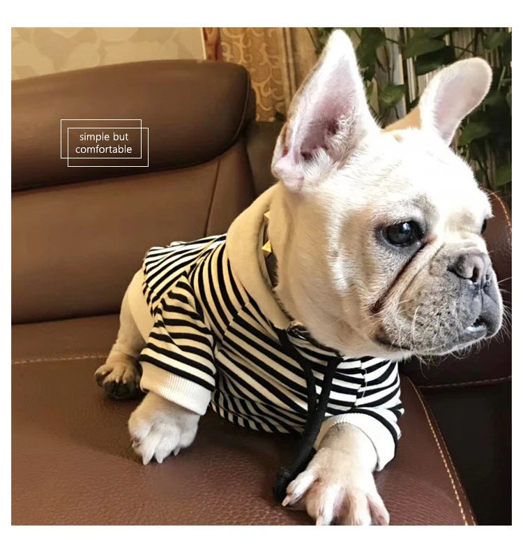 Dog Clothes Spring  (4)