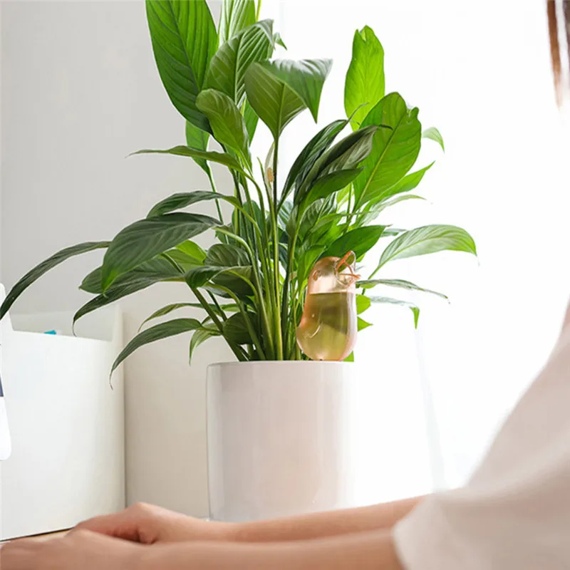 

Bird Shape Automatic Dripper Potted Plants Self Watering Device Transparent Watering Kettle Garden House Self Watering Pot