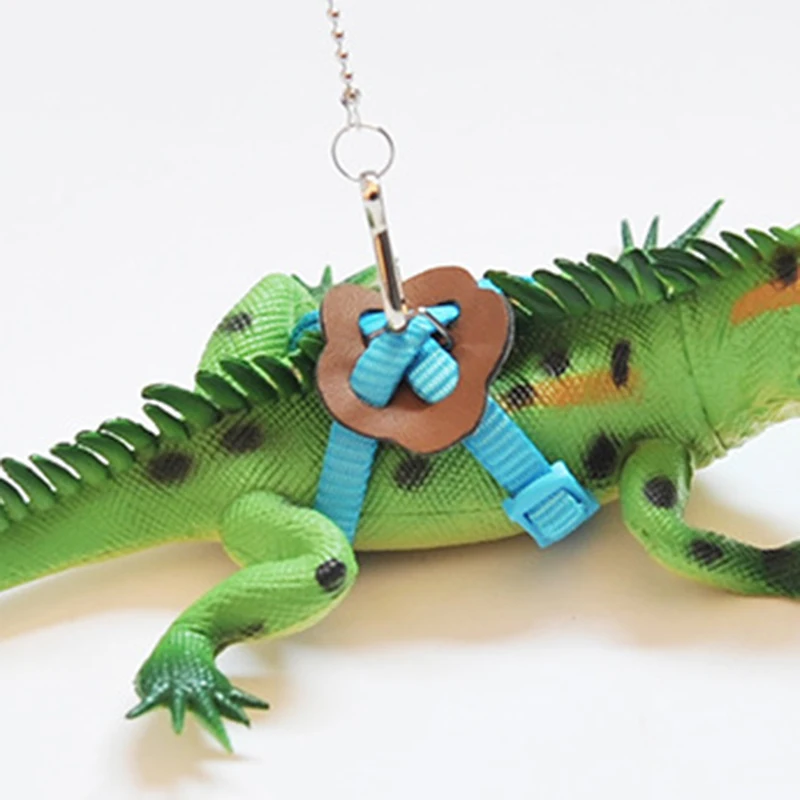 Bearded Dragon Gecko Reptile Supplies Fly Animal Pet Bird Parrot Adjustable Lizard Training Cable Rope Strap Walk Bearded Dragon Gecko Reptile Supplies Fly Animal Pet Bird Parrot Adjustable Lizard Training Cable Rope Strap Walk