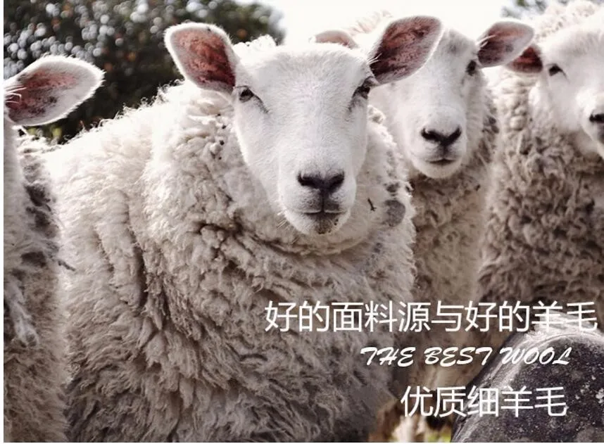 QQ20161220181732