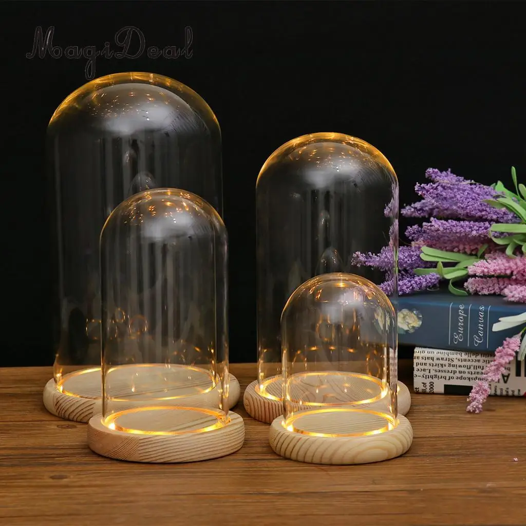 MagiDeal 	DIY Clear Glass Hemisphere Dislay Dome Cover Shade Cloche Oval With Cork Garden Decor Succulent Plants Vase Container