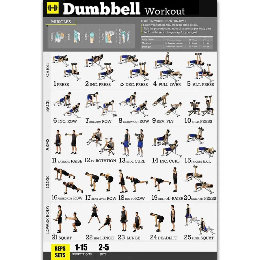 FX746 Dumbbell Workout Exercise Body Strength Pose Instructional New Custom Poster Art Silk Canvas Home Room Wall Print Decor