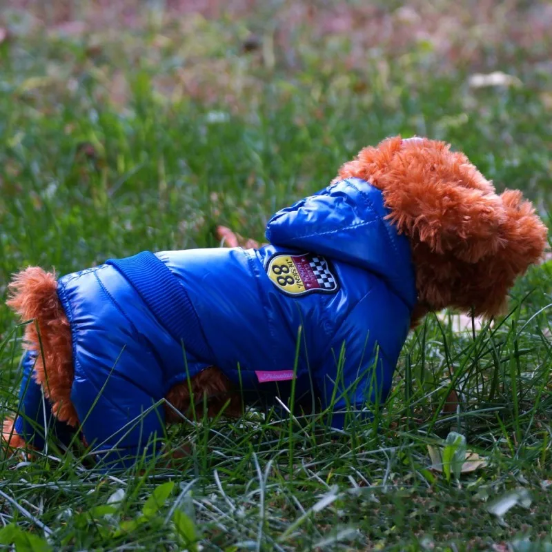 Изюминка ПУ Одежда для собак Зимний пуховик для собак костюм для домашних животных Одежда С Подкладкой Толстовка комбинезон брюки пальто одежда XS-XXL - Цвет: Синий