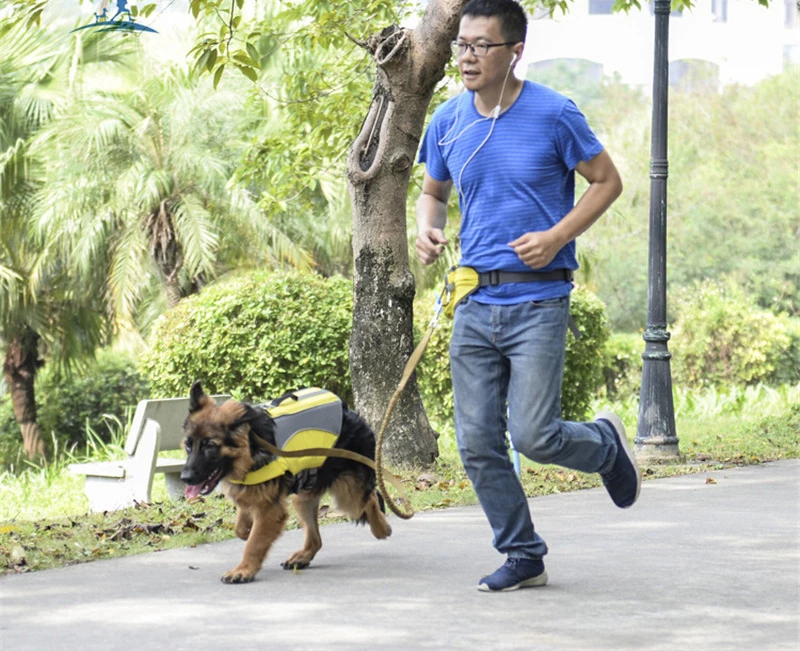 pet carrier 06