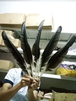 

New! sale 10pcs / lot beautiful birds eagle feathers, 55-65cm, diy decorative ornaments, feather fan subassembly
