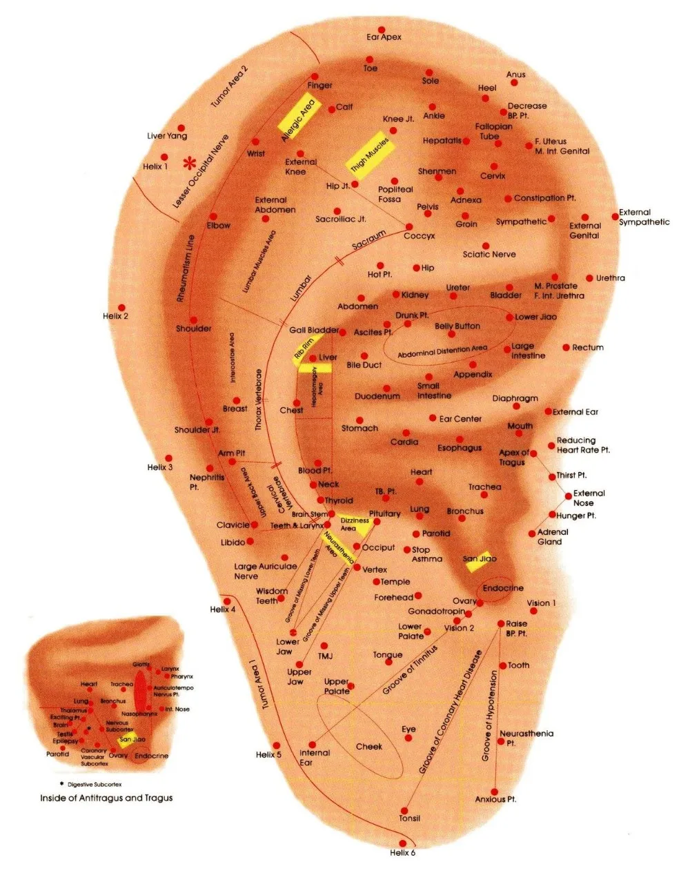 aeProduct.getSubject()