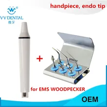 Dental ultrasonic scaler handpiece endodontic root canal dental tip for EMS, WOODPECKER for teeth whitening