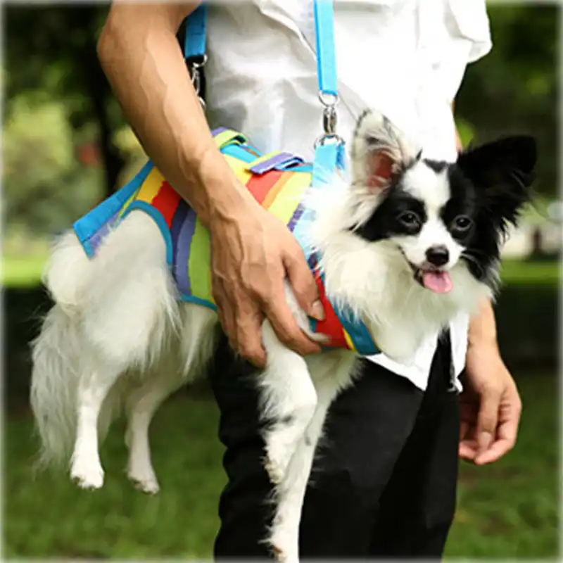 top 100 popular dog breeds