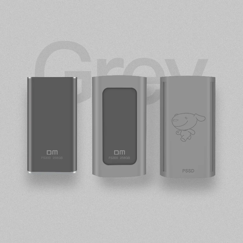  DM FS300 Externe Solid State Drives 256 GB/512 GB/1 TB Tragbare SSD Externe festplatte hdd für lapt