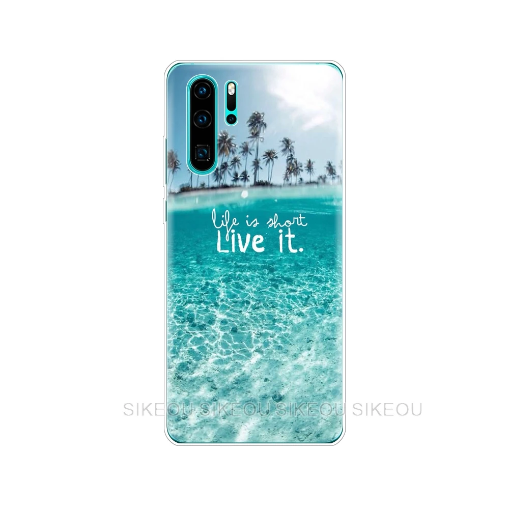 Чехол s для huawei P30 Pro Чехол huawei P30Pro силиконовый чехол ТПУ задняя крышка для телефона на huawei P30 Pro VOG-L29 ELE-L29 P 30 Lite чехол - Цвет: 33647