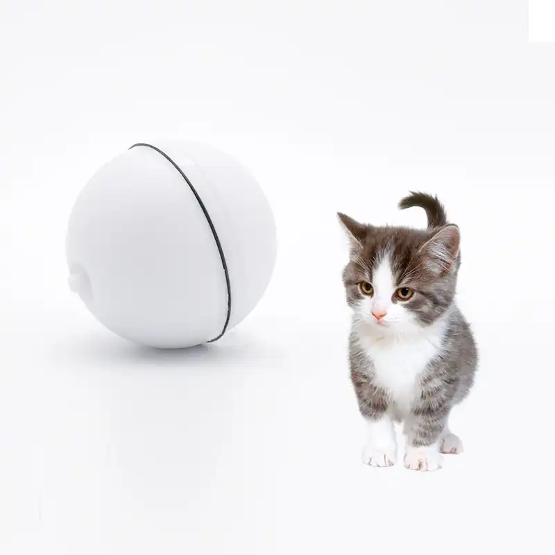 magic led ball cat