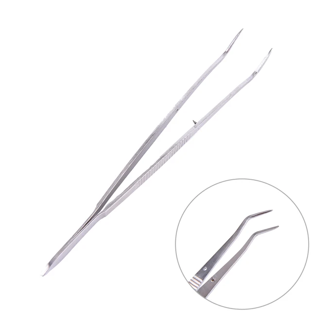 Dental Plier Stainless Steel Dental Tweezer Forcep Teeth Clean Tool