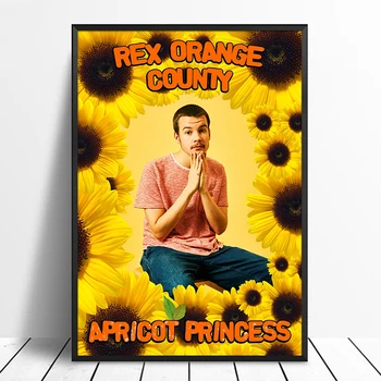 

Rex Orange County - Apricot Princess Album Pop Music cover Music Star Poster Canvas Prints Wall Art For Living Room Home Decor