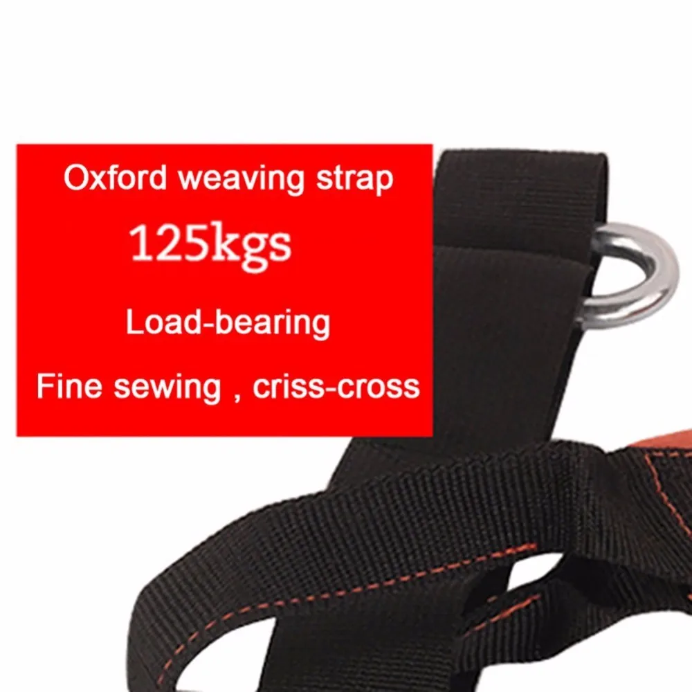 Cinturón colgante de Fitness para el hogar AB Sling Straps Abdominal Carver barbilla Up Sit Up Bar Pullup cinturón de suspensión de entrenamiento muscular de alta resistencia Cinturón colgante de Fitness para el hogar AB Sling Straps Abdominal Carver barbilla Up Sit Up Bar Pullup cinturón de suspensión de entrenamiento muscular de alta resistencia