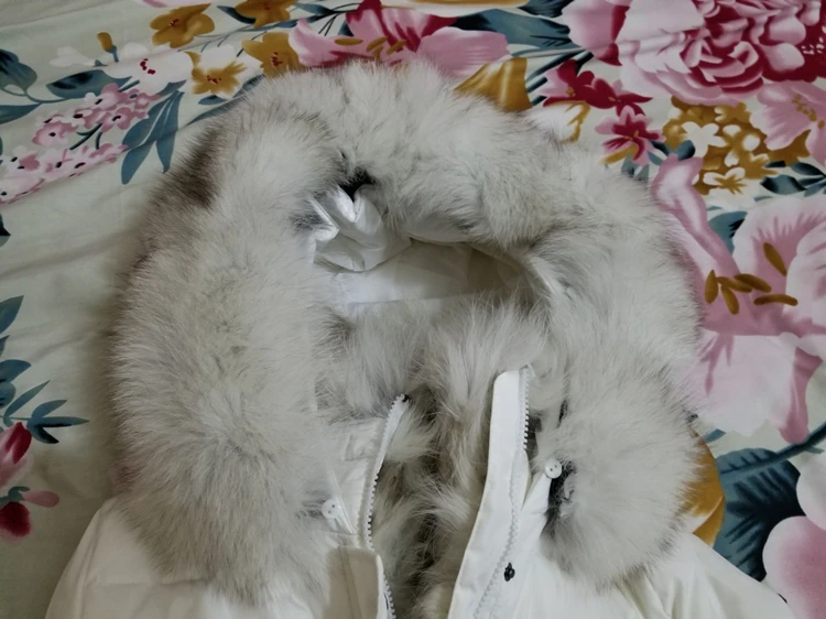 QQ20181130153713_