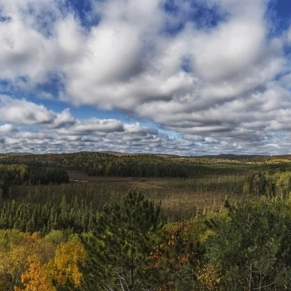 Panoramic view of Sunday Creek during autumn  Algonquin Park; Ontario  Canada Poster Print (44 x 18)