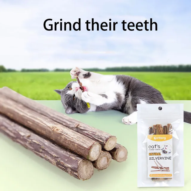 New5PCS Pet Cat Kitten Chew Giocattolo Bastone Catnip Molare Naturale Erba Gatta New5PCS Pet Cat Kitten Chew Giocattolo Bastone Catnip Molare Naturale Erba Gatta
