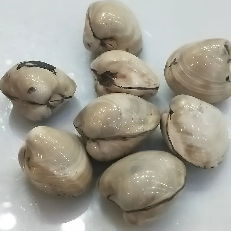 conew_img20190331154850