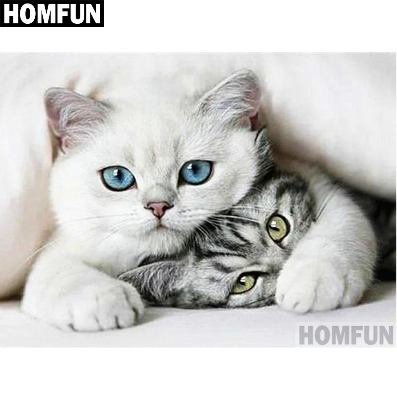 A06611          Animal cat