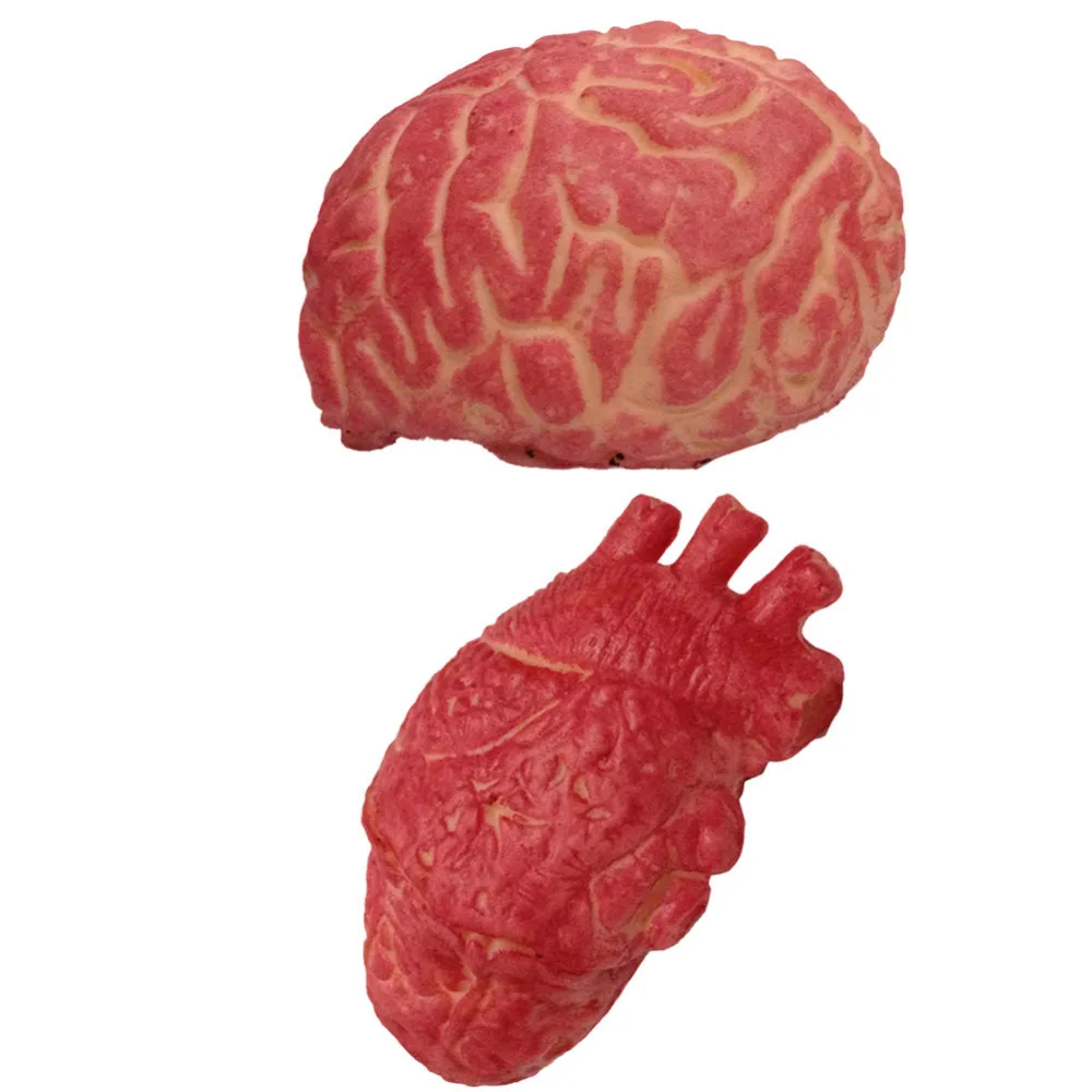 1pc halloween horrible bloody severed horror scary human heart brain lifesize scary fake rubber gory body