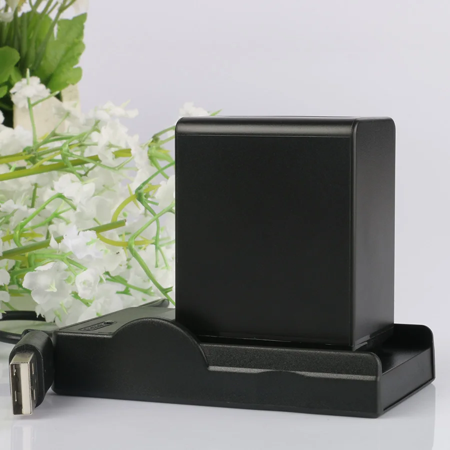 Lanfulang NP-FV100 NP FV100 Перезаряжаемые батарея для цифровой камеры+ USB Зарядное устройство для sony DCR-SX43 DCR-SX44 HDR-PJ540 HXR-NX3D1