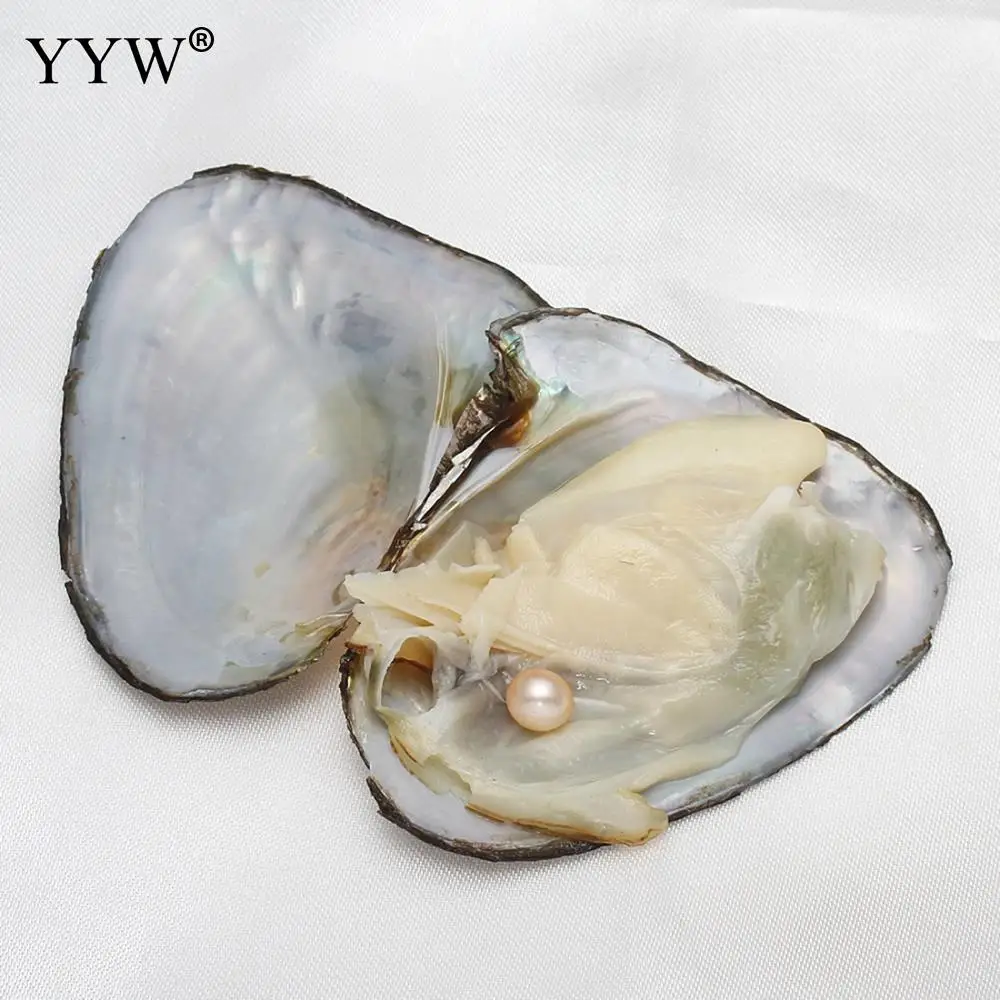 15 шт/партия случайный цвет Oyster Wish речной жемчуг бусины вакуумные упакованные ювелирные изделия 7-8 мм любовь Wish жемчуг устрицы