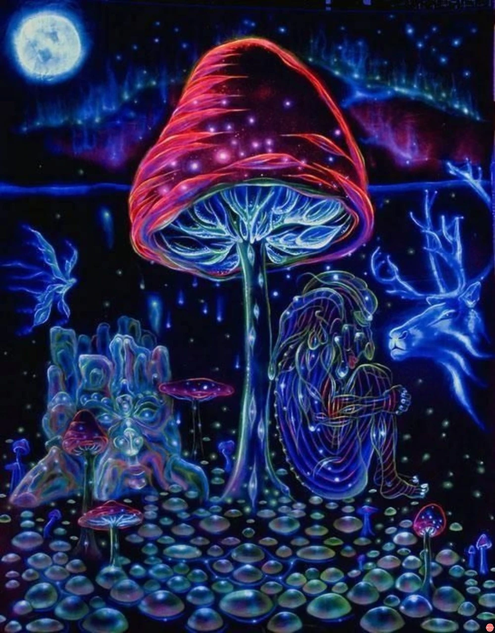 

DIY 5D diamond painting dark psychedelic magic mushrooms trippy 3d diamond embroidery painting wall picture full layout