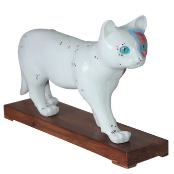 

Cat acupuncture model Animal anatomical model Cat acupoint Veterinary teaching model