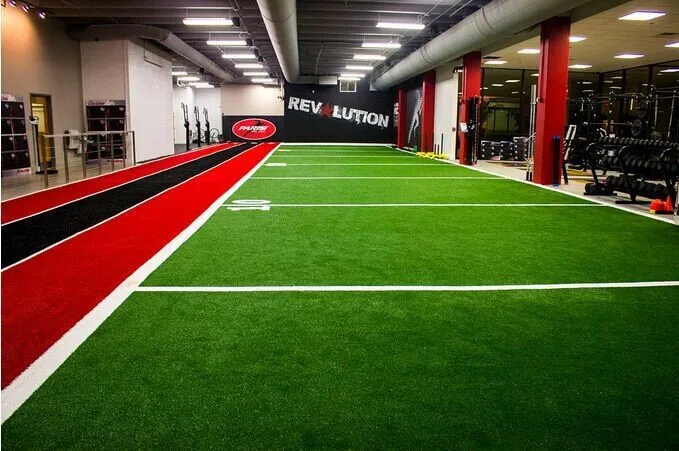 artificial grass for agility training & track (2)