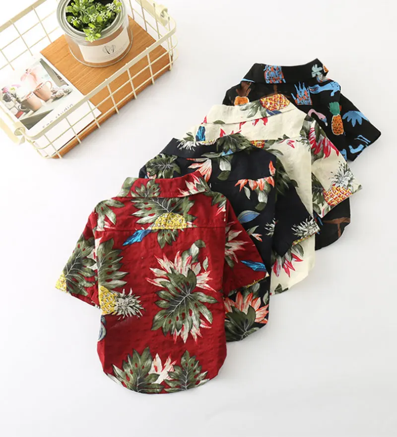 dog clothes french