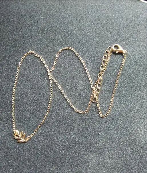 XL0487 3