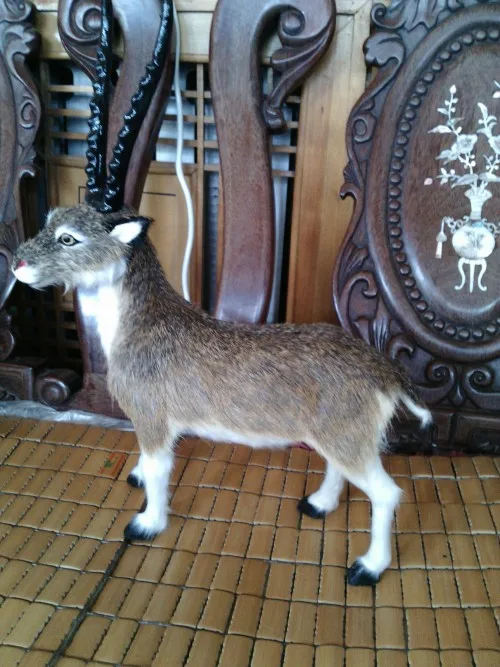 simulation  Tibetan antelope large 31x46cm model ,lifelike & real furs sheep toy model decoration gift t462