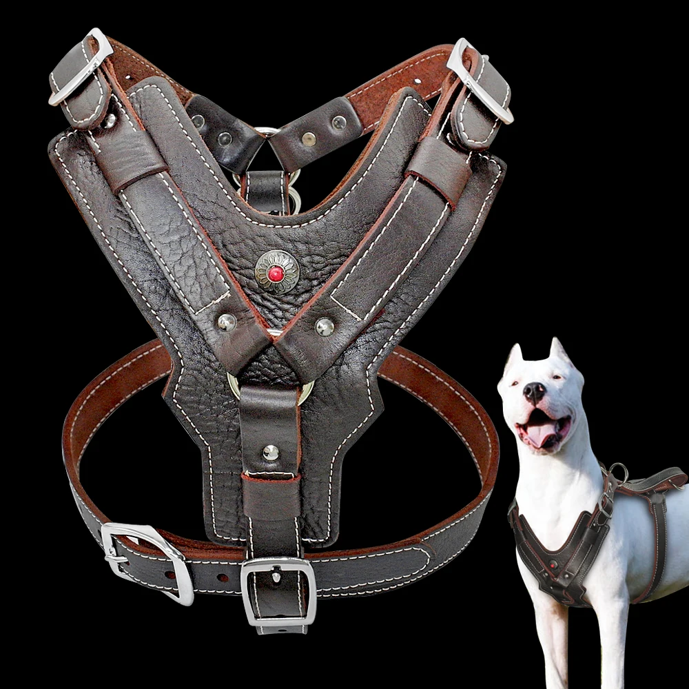 Best Genuine Leather Pet Big Dog Collar and Leash for Large Dogs Labrador K-9 