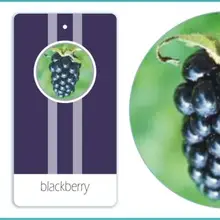 Через FedEx, бумага освежитель воздуха, подвесной картонный ароматизатор