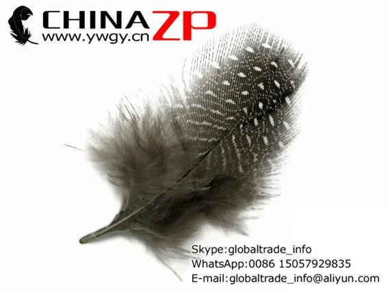 Guinea Feathers, 1 Pack - NATURAL Guinea hen plumage Feathers 0.10 oz. 2