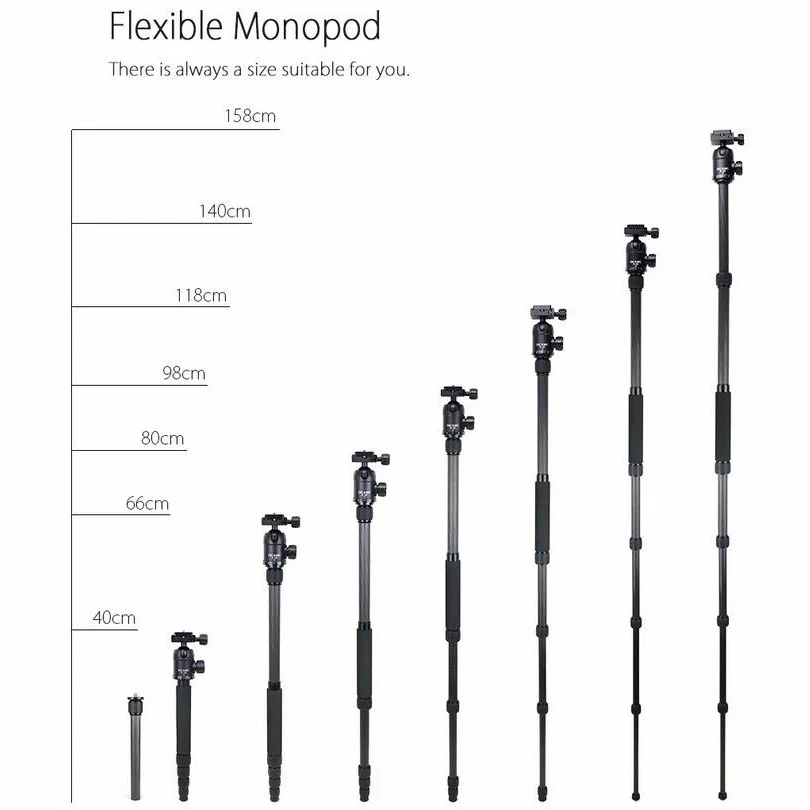 INNOREL RT50C Professional Carbon Fiber Camera Tripod Travel Compact Tripod Video Monopod with Quick Release Plate & Ball Head