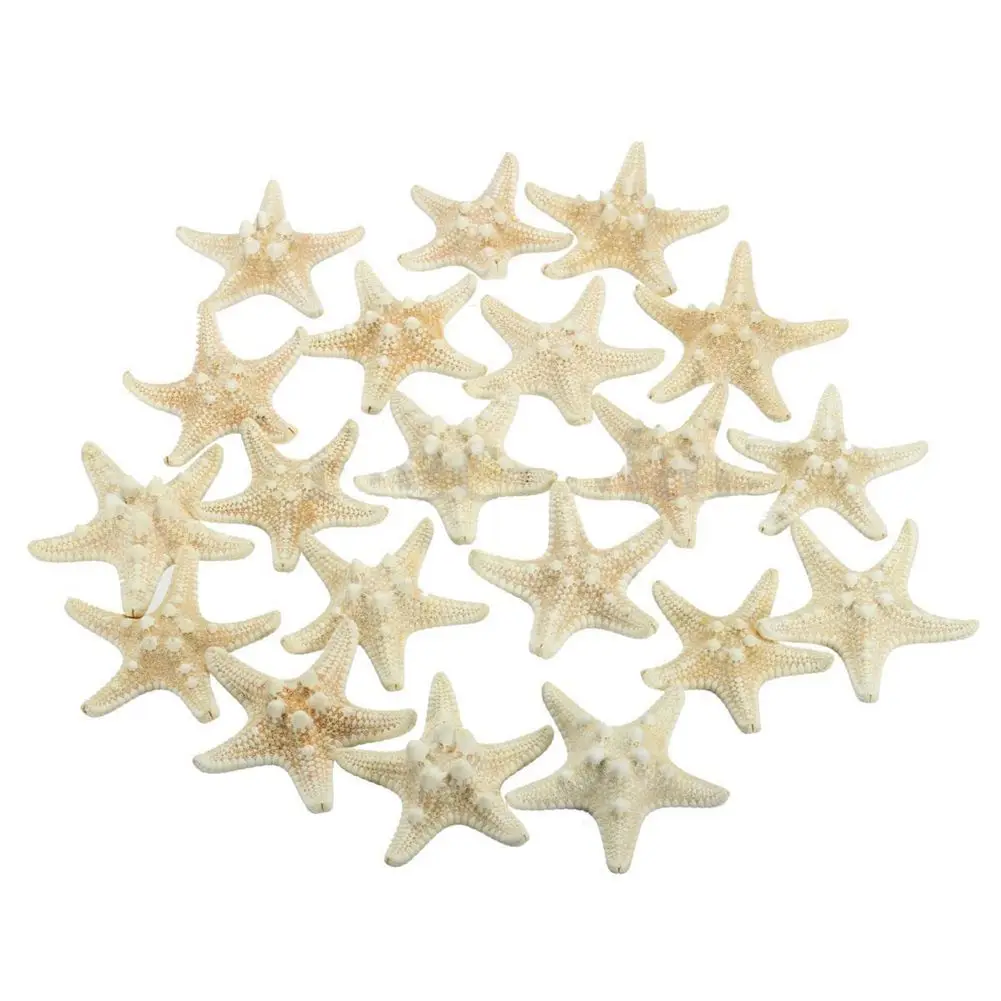 

20pcs White Bleached Knobby Starfish Wedding Display Seashell Craft Decor