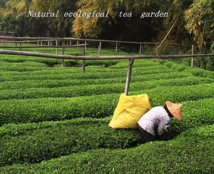 HTB1sh5LHVXXXXXOXVXXq6xXFXXXZ